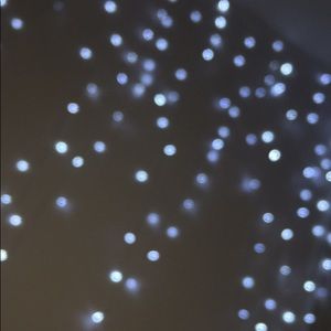 Meet your Posher, Mia